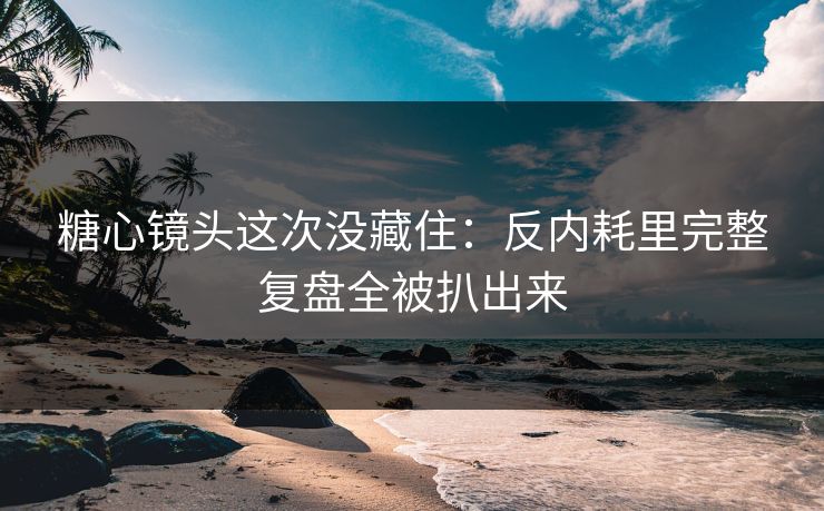 糖心镜头这次没藏住：反内耗里完整复盘全被扒出来