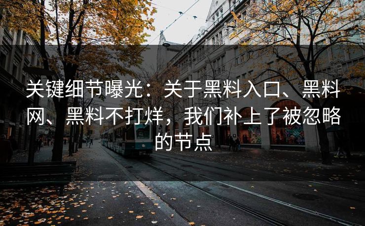 关键细节曝光：关于黑料入口、黑料网、黑料不打烊，我们补上了被忽略的节点