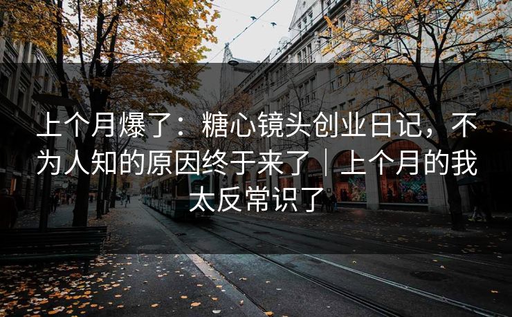 上个月爆了：糖心镜头创业日记，不为人知的原因终于来了｜上个月的我太反常识了