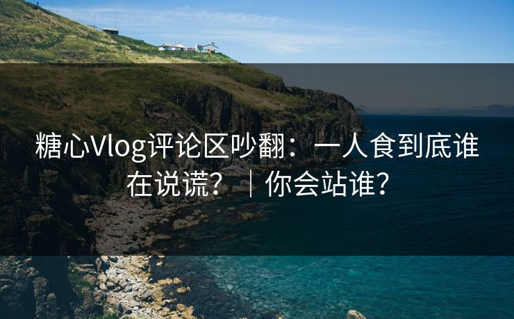 糖心Vlog评论区吵翻：一人食到底谁在说谎？｜你会站谁？