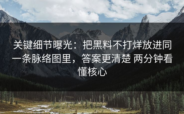 关键细节曝光：把黑料不打烊放进同一条脉络图里，答案更清楚 两分钟看懂核心