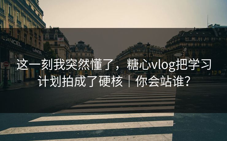 这一刻我突然懂了，糖心vlog把学习计划拍成了硬核｜你会站谁？