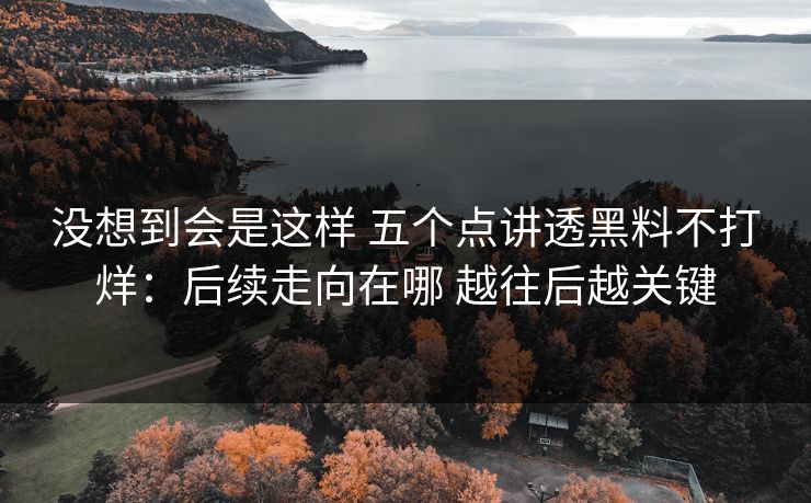 没想到会是这样 五个点讲透黑料不打烊：后续走向在哪 越往后越关键