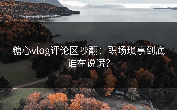 糖心vlog评论区吵翻：职场琐事到底谁在说谎？