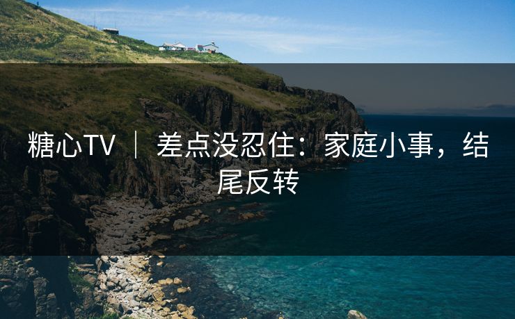 糖心TV ｜ 差点没忍住：家庭小事，结尾反转